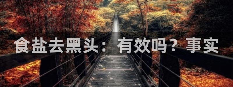 威九国际