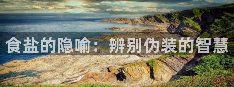 威九国际官方入口