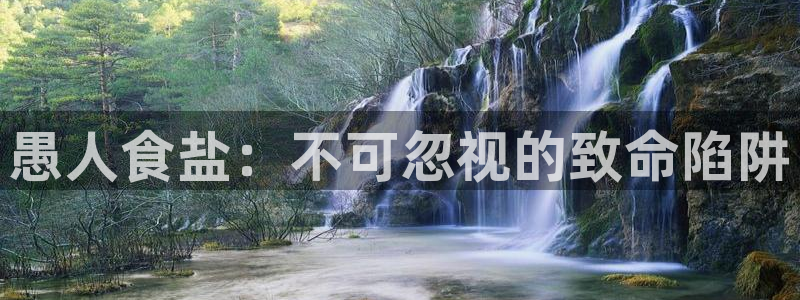 威九国际客服电话号码