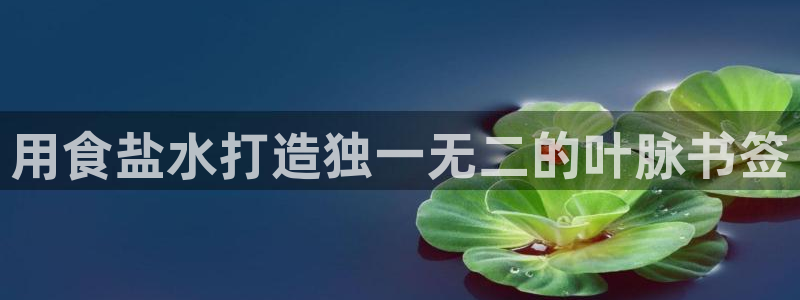 威九国际APP那个地方