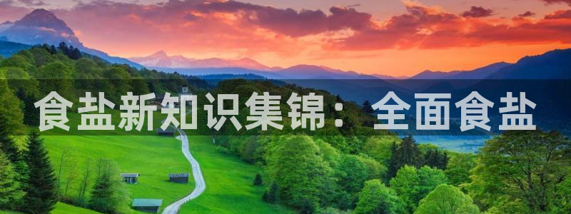 保定威九网络科技有限公司怎么样