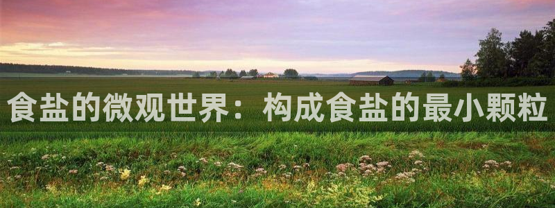 威九国际78m