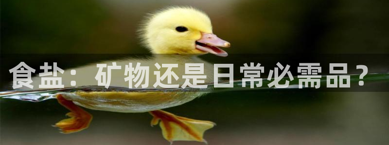 威九国际HP