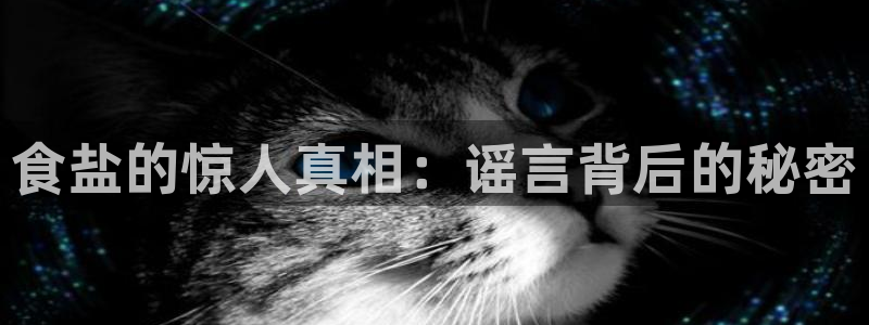 威九国际的网站入口在哪里