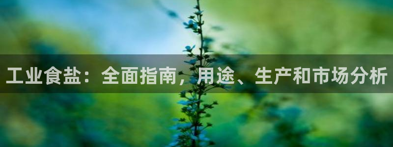 威九国际网站是多少