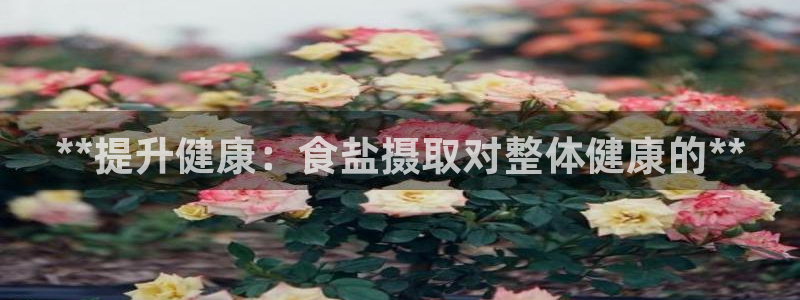 威九国际app网站安全吗