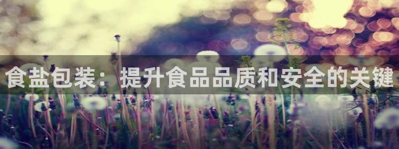 威九国际ppt官网