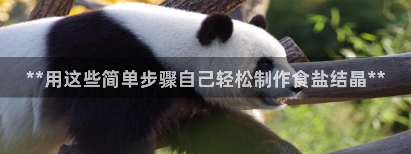 威九国际的金融服务怎么样