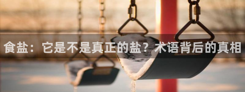 威九国际免费游戏