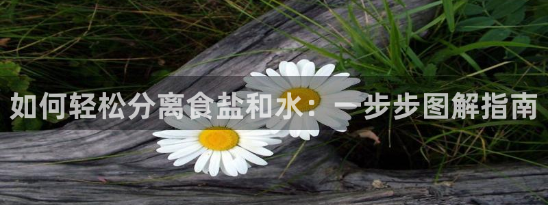 威九国际网站入口官网首页下载