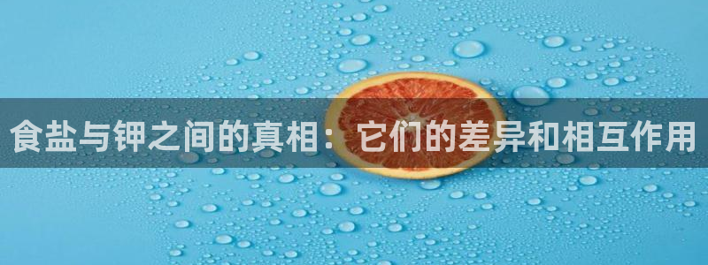 威九国际app网站官网