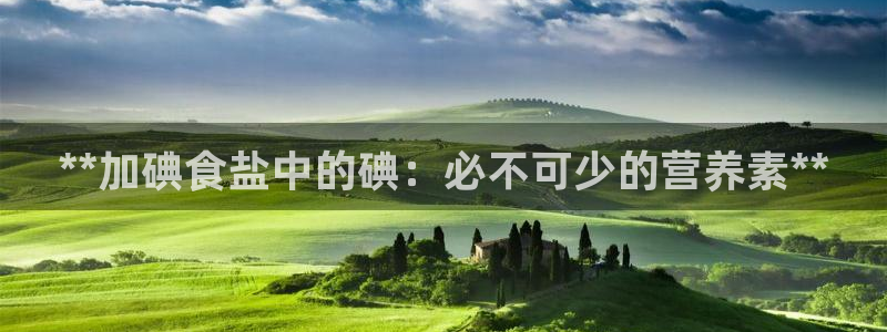 威九国际韩国