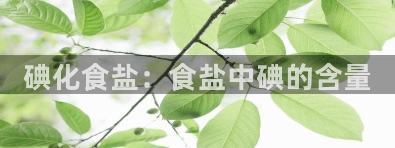 威九国际天美