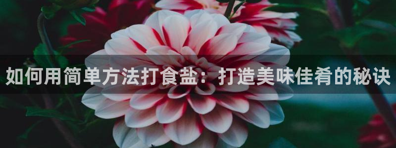 威九国际女演员名单介绍