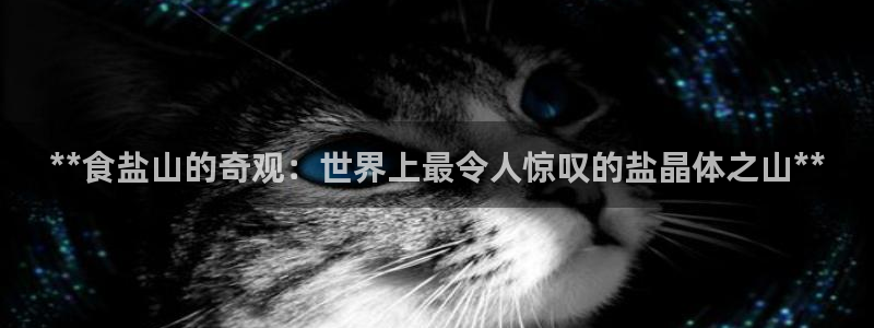 78mppt威九国际