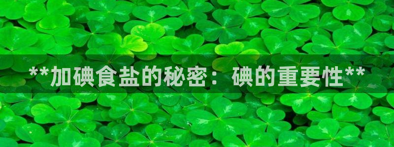 威九国际X8