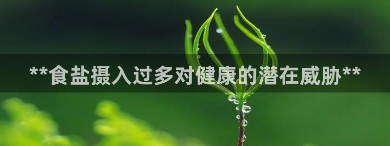 威九国际观看