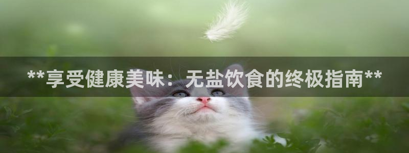 威九国际可以赚到钱