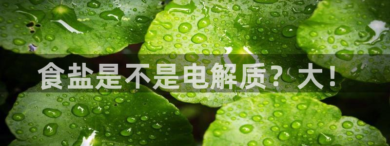 威九国际78
