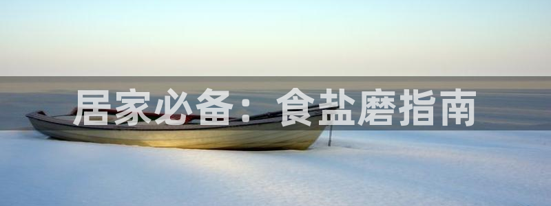 威九国际ppt免费下载网址