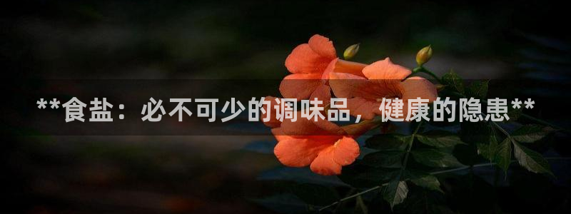 威九国际后爸