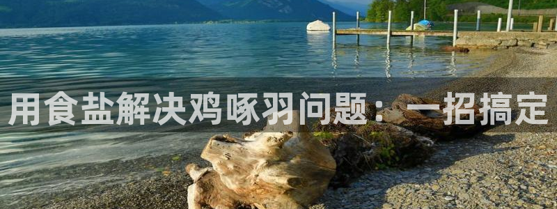 威九国际网页看视频弹窗的广告拦截插件
