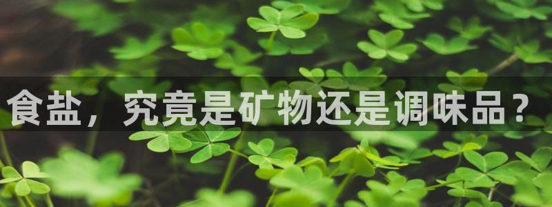 78mapp威九国际媒体央视