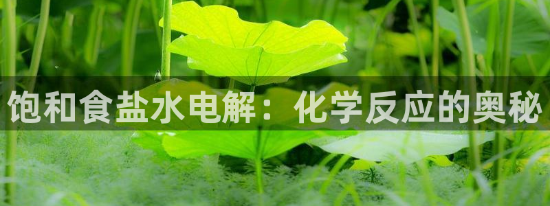 威九国际ppt免费吗