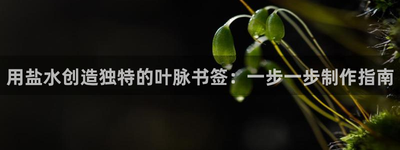 威九国际韩国