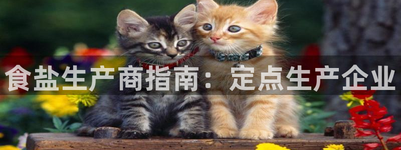威九国际网站进入(中国)有限公司-官网