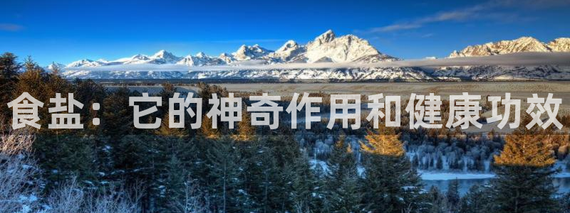 威九国际的金融服务怎么样