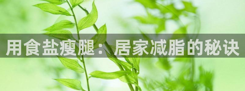 威九国际网站下载