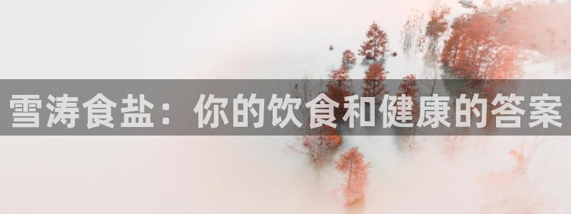 78m.ppt威九国际官网版