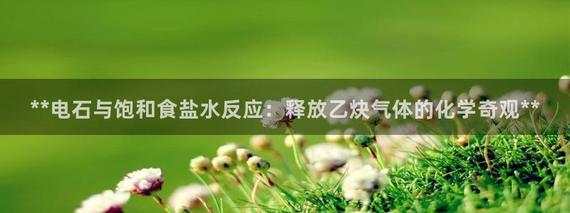 威九国际后爸