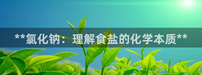 威九国际取款