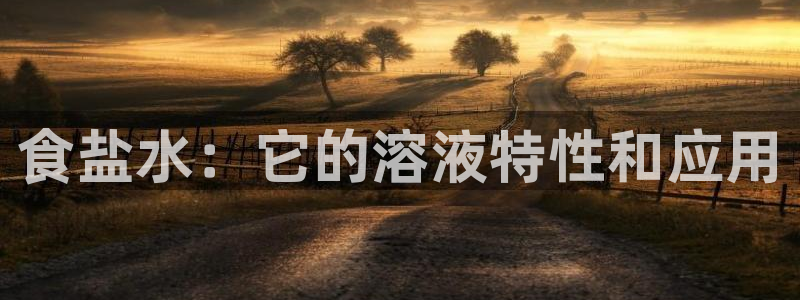 威九国际网站入口官网首页