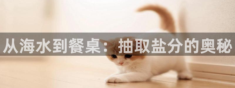 威九国际旗下艺人都有谁