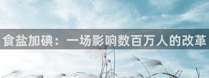 威九国际78mb