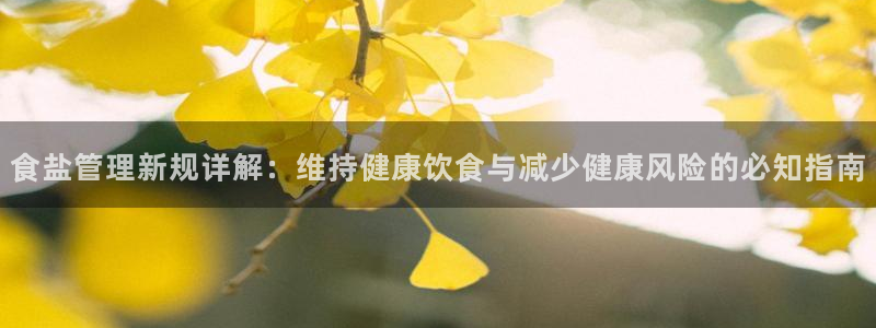 保定威九网络科技有限公司招聘