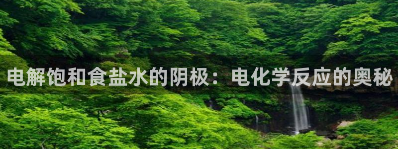 威九国际网站进入客服中心了吗