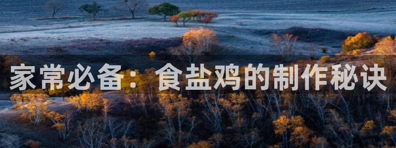 威九国际女明星