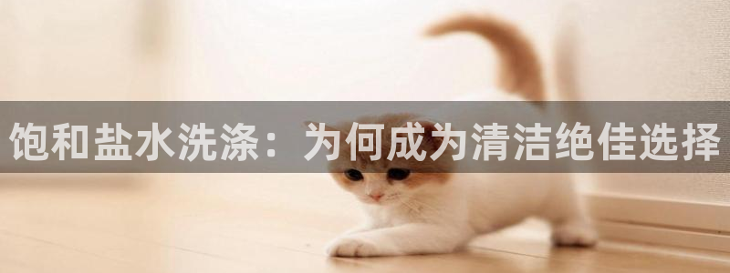 威九国际app客服电话号码
