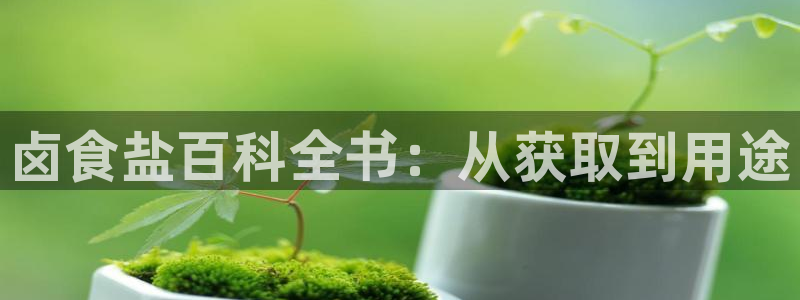 66m成长模式视频威九国际视频
