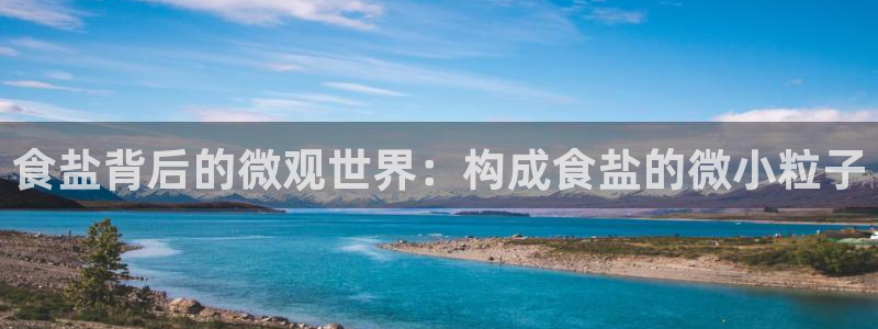 威九国际网站传媒招聘