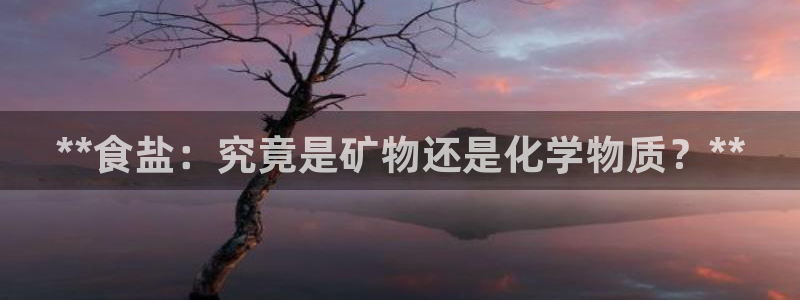 威九国际惠子