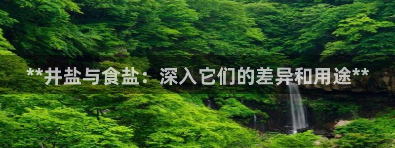 78mapp威九国际媒体央视