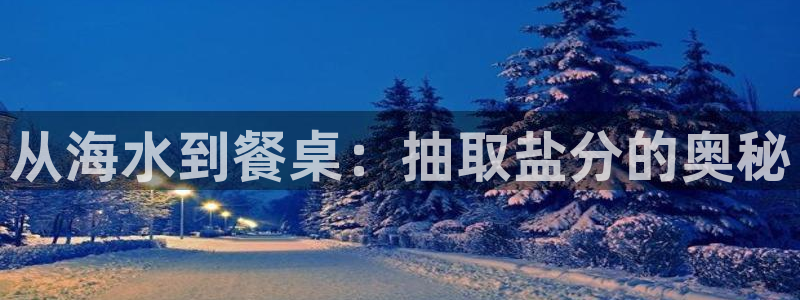 威九国际女主名字