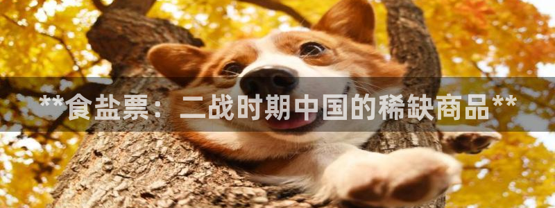 威九国际网站入口官网首页下载