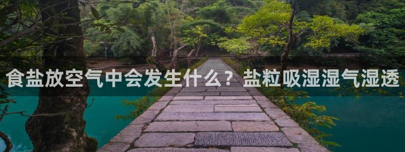威九国际v8