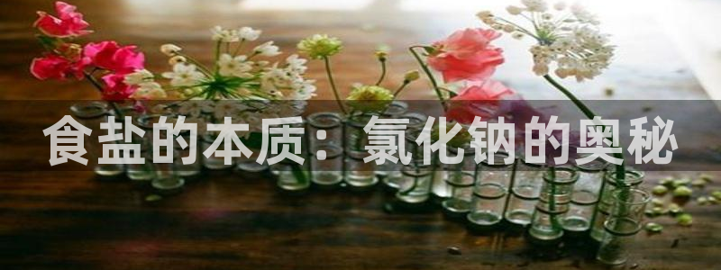 威九国际旗下艺人都有谁